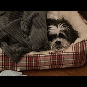 Meet your Posher, Carrie